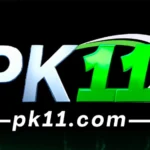 PK11 Game