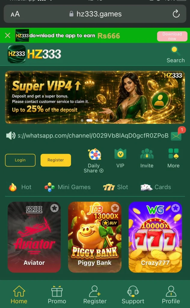 HZ333 Game